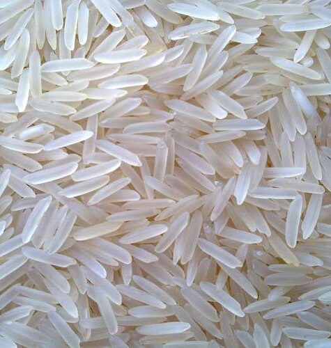 Rice
